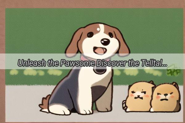 Unleash the Pawsome Discover the Telltale Signs of Your Dogs Fitness Level